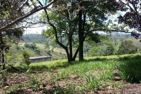 imovel_sitio_campo_limpo_handell_18