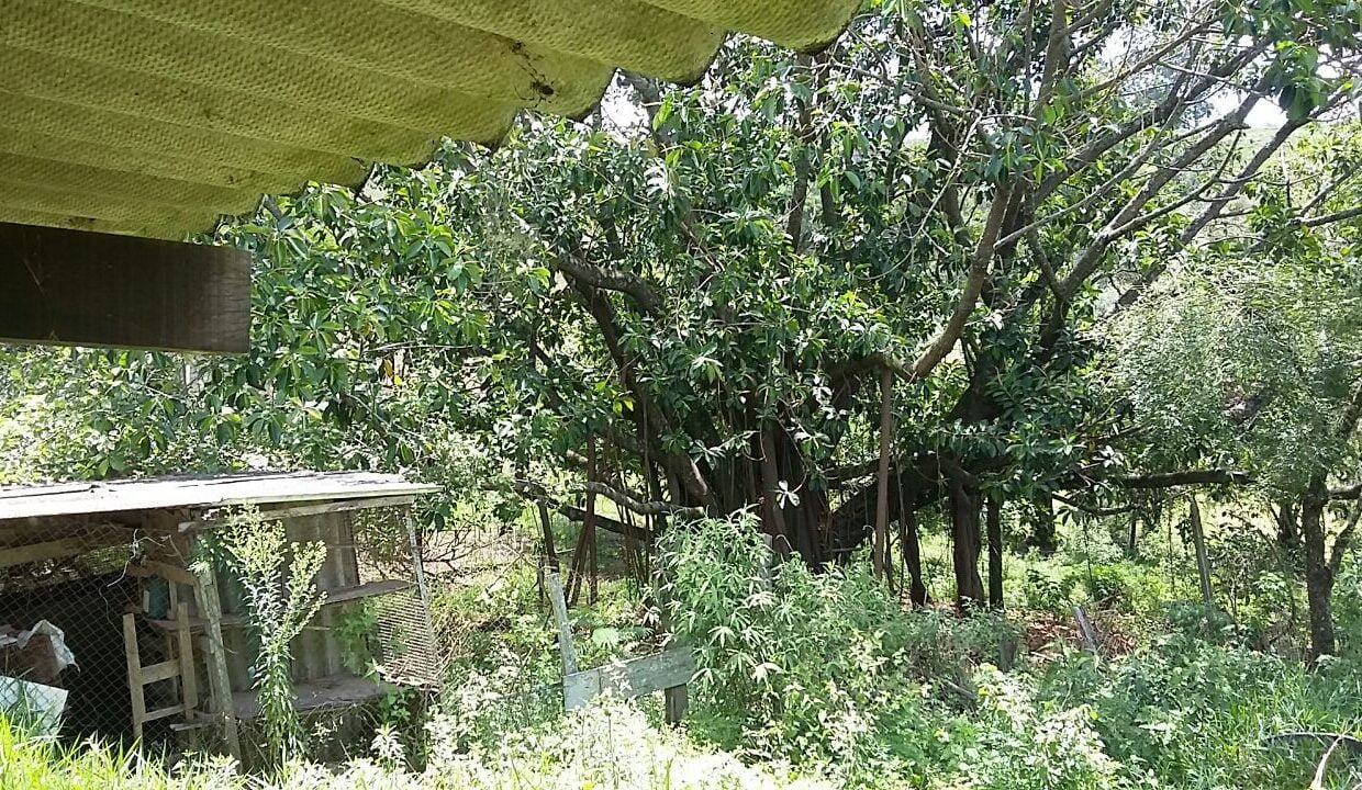 imovel_sitio_campo_limpo_handell_23