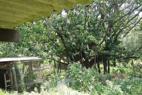 imovel_sitio_campo_limpo_handell_23