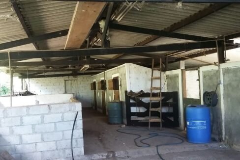 imovel_sitio_campo_limpo_handell_32