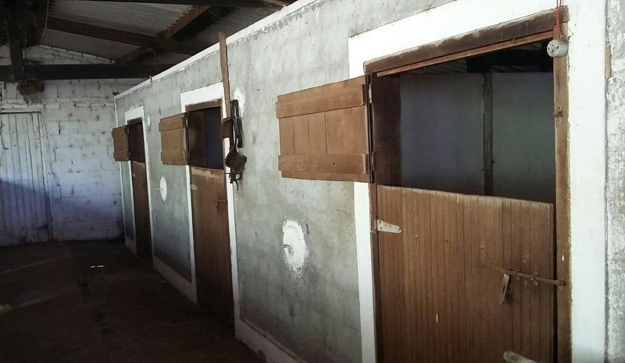 imovel_sitio_campo_limpo_handell_34