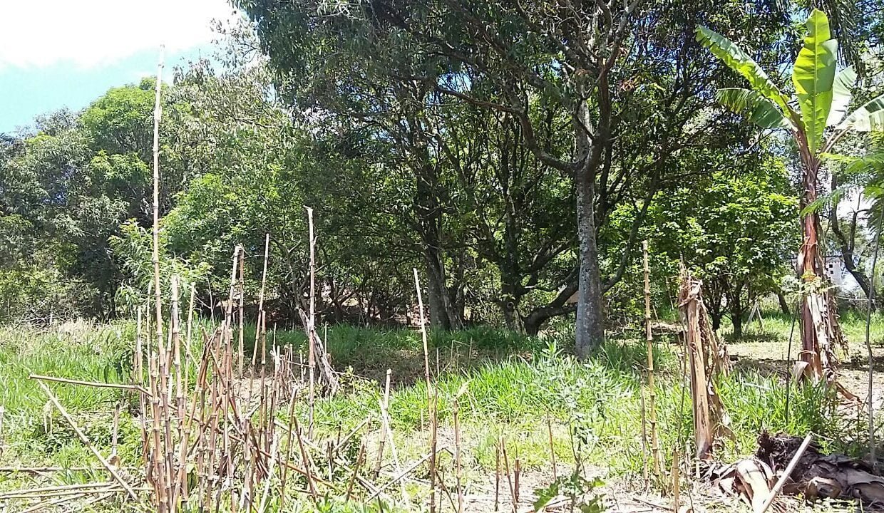 imovel_sitio_campo_limpo_handell_35