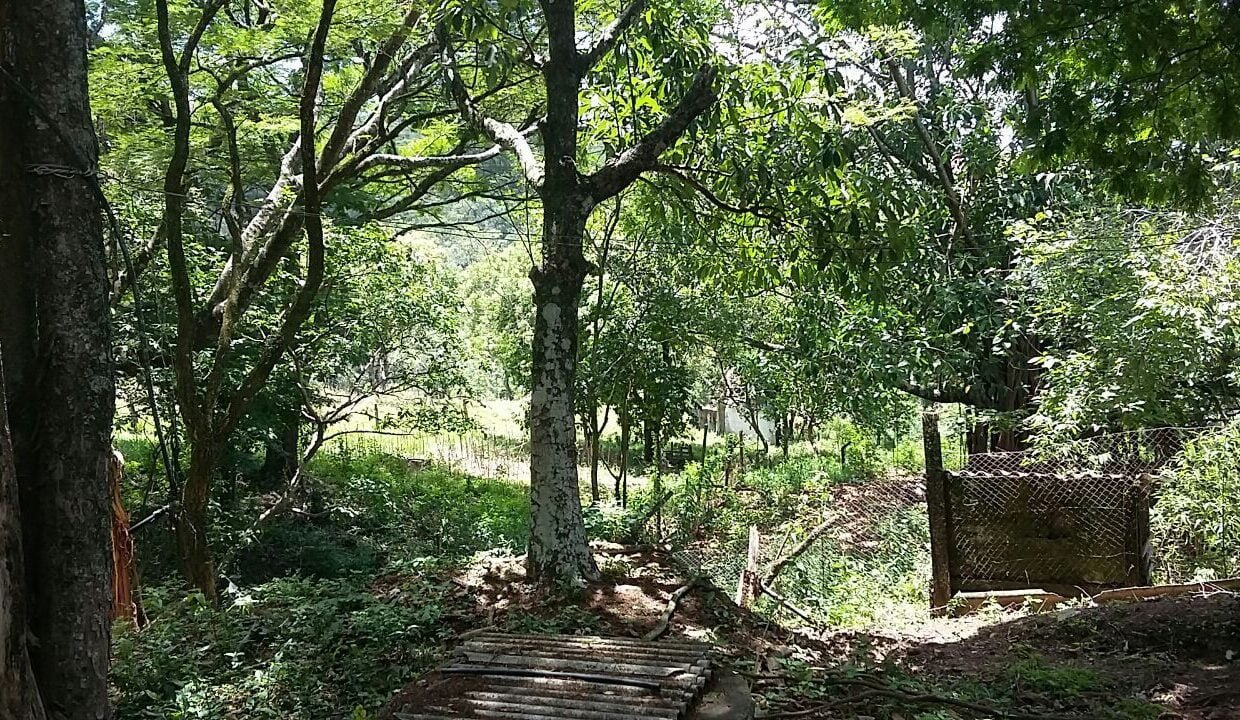 imovel_sitio_campo_limpo_handell_37