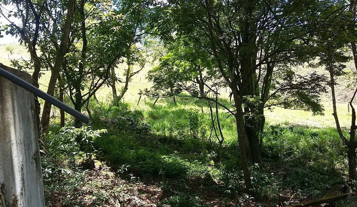 imovel_sitio_campo_limpo_handell_38