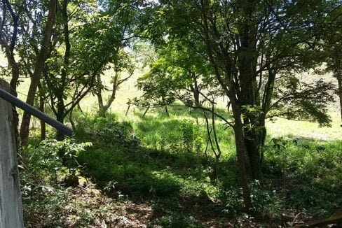 imovel_sitio_campo_limpo_handell_38