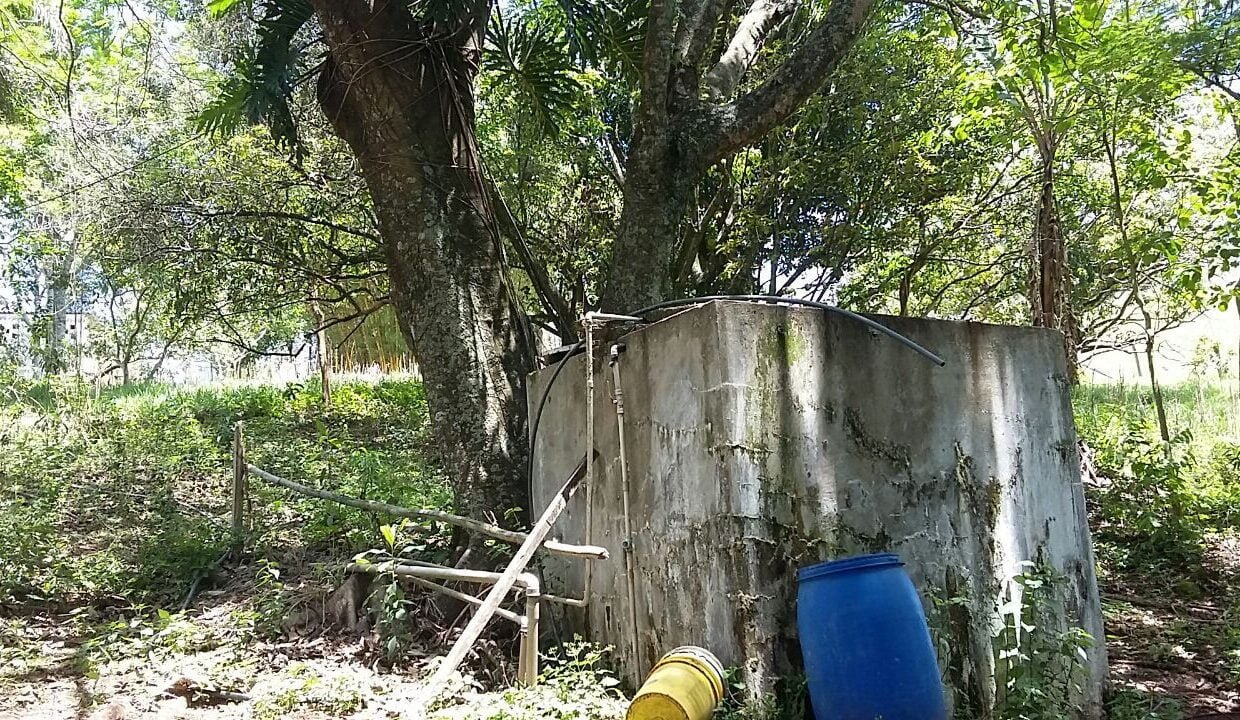 imovel_sitio_campo_limpo_handell_39