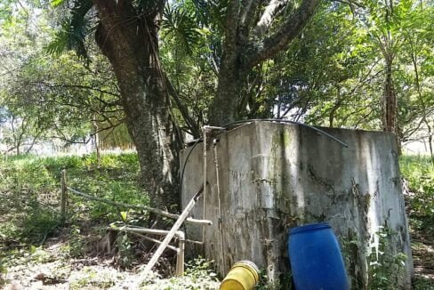 imovel_sitio_campo_limpo_handell_39