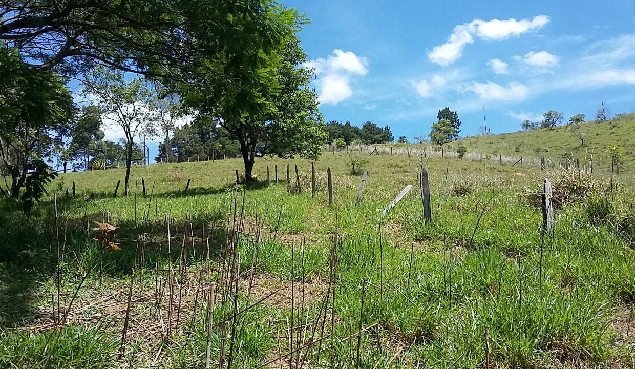 imovel_sitio_campo_limpo_handell_40