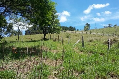 imovel_sitio_campo_limpo_handell_40