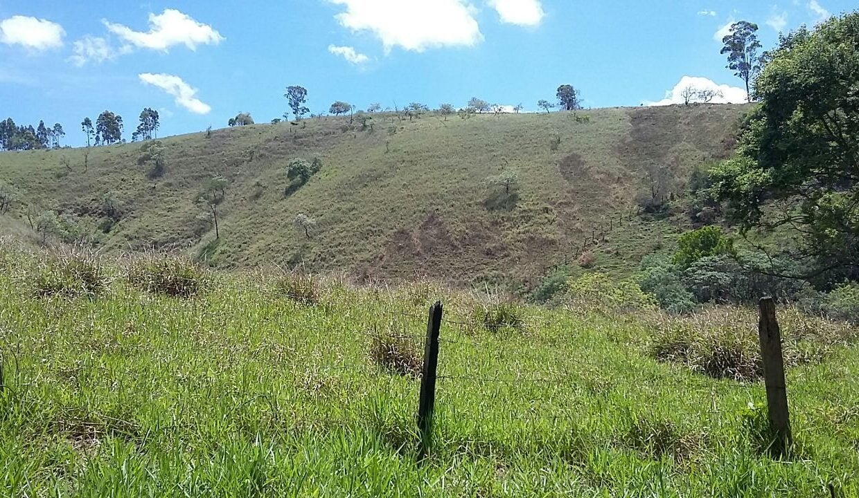 imovel_sitio_campo_limpo_handell_41