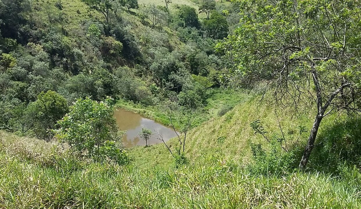 imovel_sitio_campo_limpo_handell_42