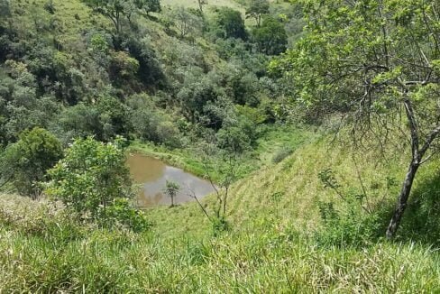 imovel_sitio_campo_limpo_handell_42