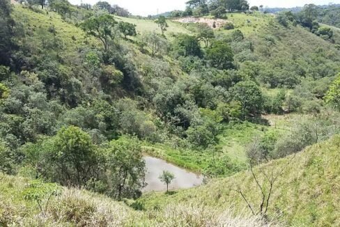 imovel_sitio_campo_limpo_handell_44