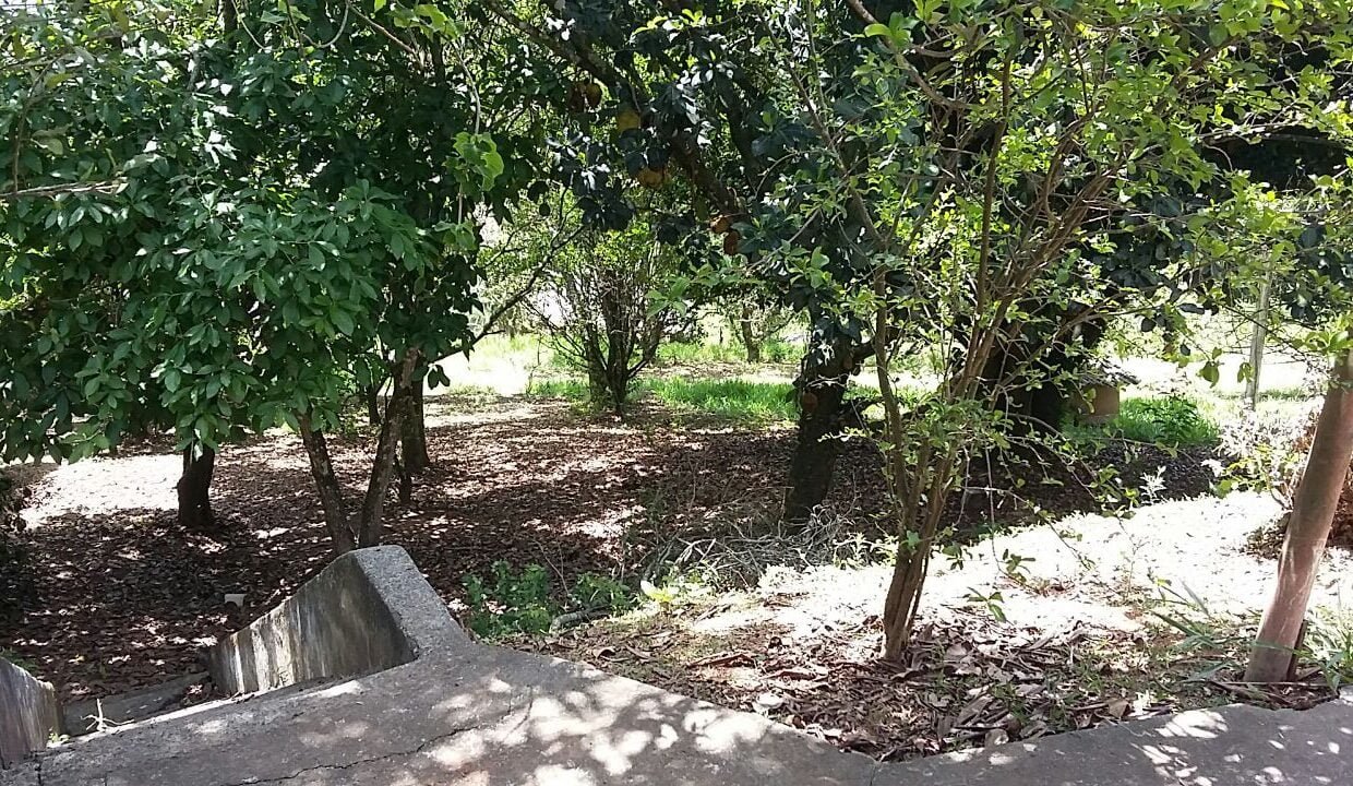 imovel_sitio_campo_limpo_handell_6