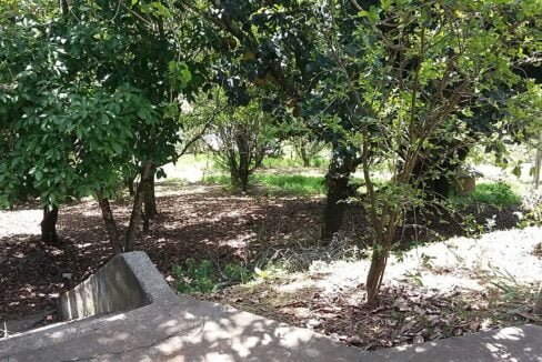 imovel_sitio_campo_limpo_handell_6