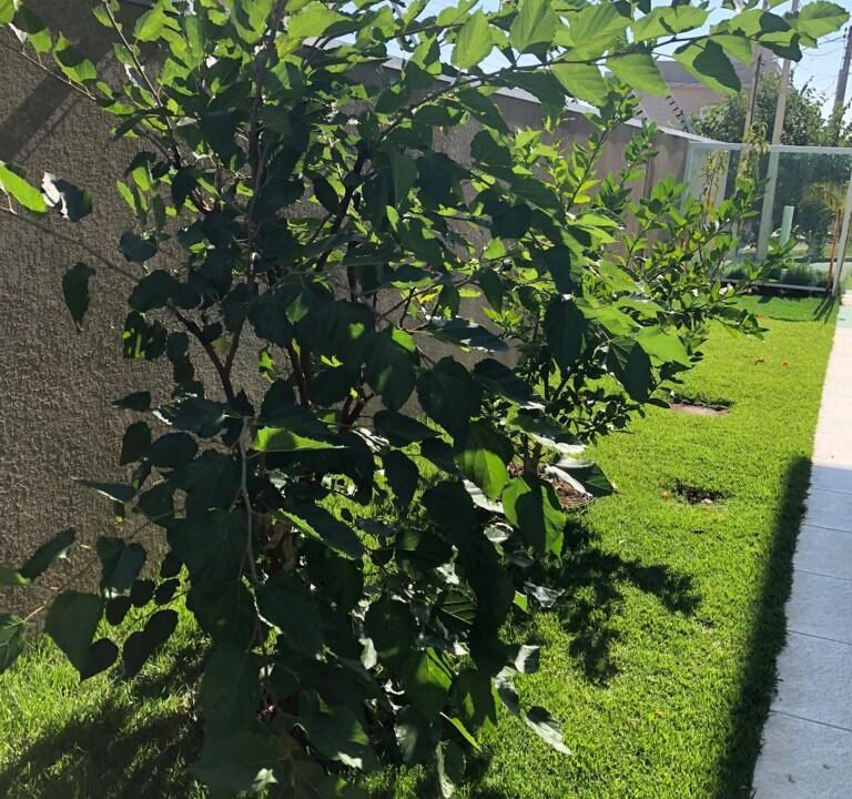 Casa Condomínio Montes Claros Itupeva - 27