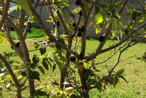 Casa Condomínio Montes Claros Itupeva - 29