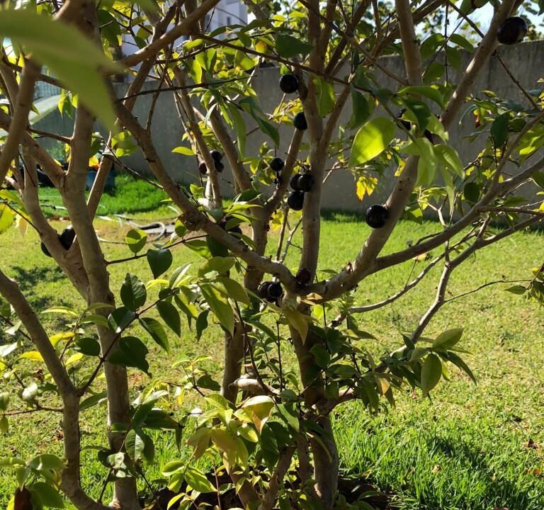 Casa Condomínio Montes Claros Itupeva - 29