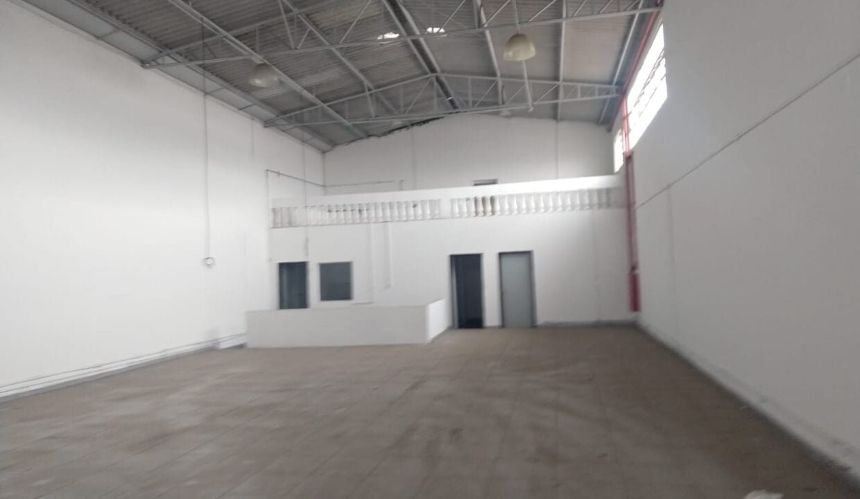 WhatsApp Image 2018-10-16 at 22.38.20(1)