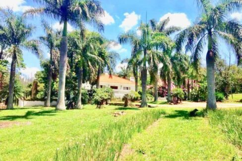 WhatsApp Image 2019-04-29 at 17.01.39