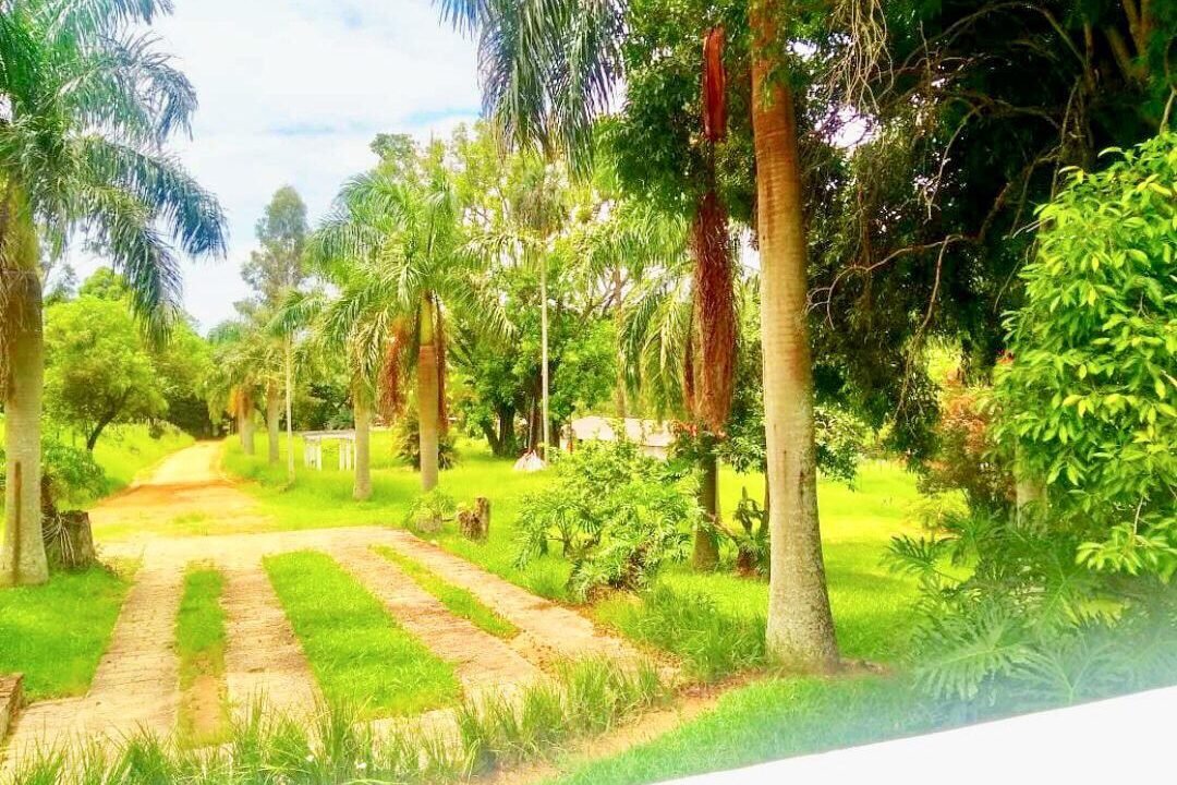 WhatsApp Image 2019-04-29 at 17.02.07(1)