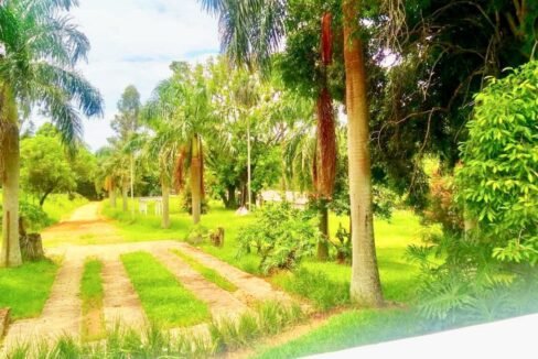 WhatsApp Image 2019-04-29 at 17.02.07(1)