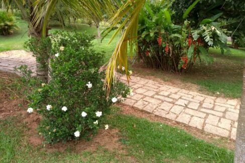 chacara_cabreuva_pinhal_handell_15