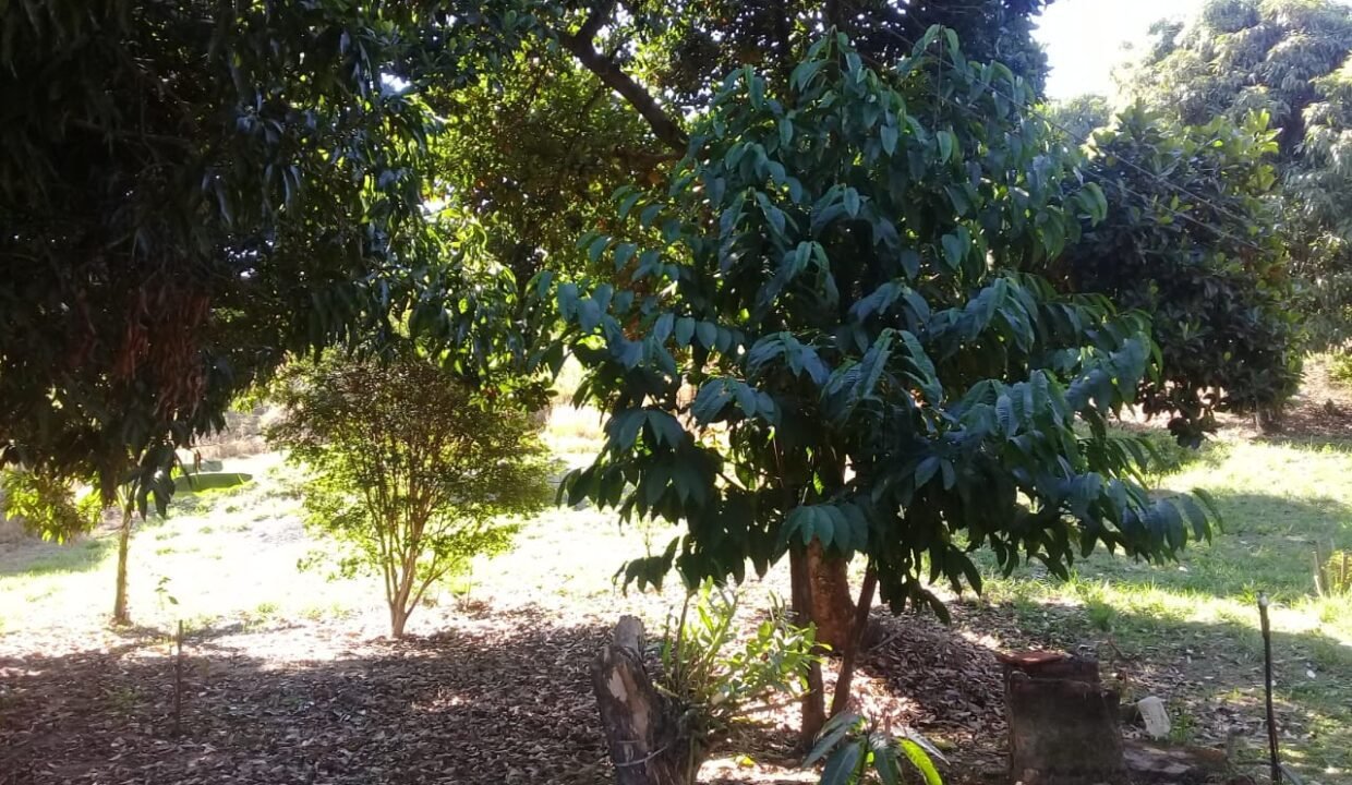 terreno_chacara_itupeva_handell_imoveis_3