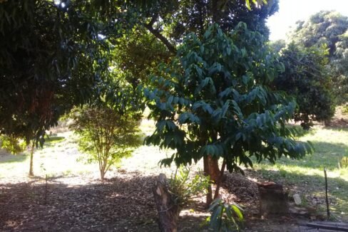 terreno_chacara_itupeva_handell_imoveis_3