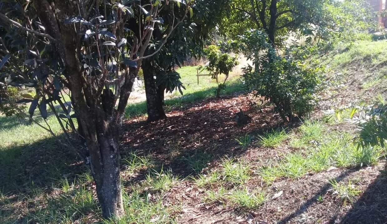 terreno_chacara_itupeva_handell_imoveis_5