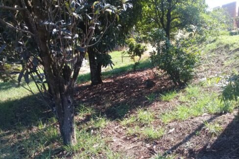 terreno_chacara_itupeva_handell_imoveis_5
