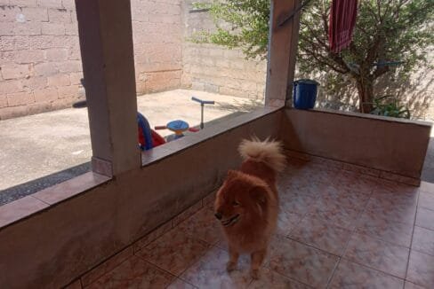 Casa térrea com 3 dormitórios à venda no centro de Itupeva - 5